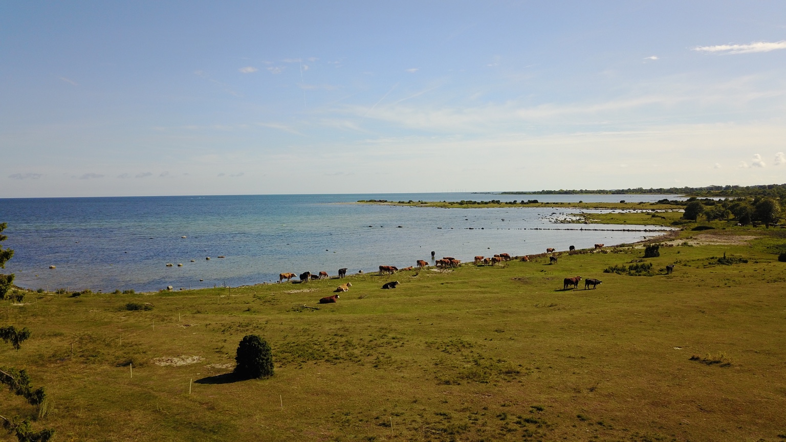 Strandängar och hav utanför Gaxa Gård på norra Öland